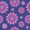 Purple floral unusual geometric patterns Royalty Free Stock Photo